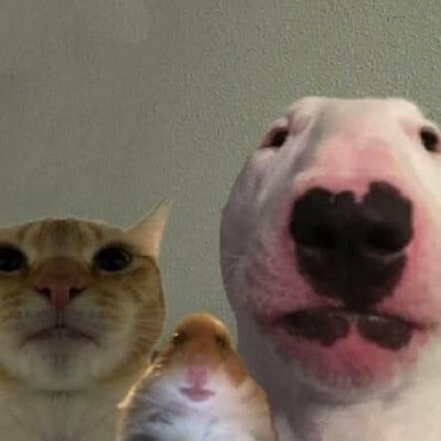 mmira0r's profile picture. 