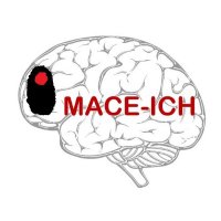 MACE-ICH trial(@MACE_ICH_Trial) 's Twitter Profileg