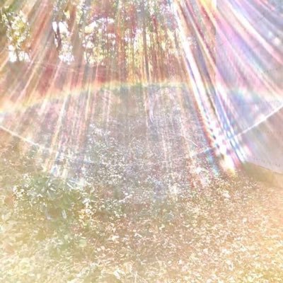 iriko114's profile picture. BO・FXやってる負けキャラ 日給1万円が目標