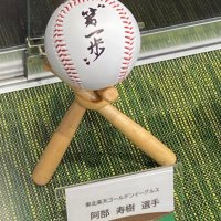 白球の詩 (@capu8a4v1v4kmwf) 's Twitter Profile