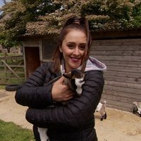 Shireen Jordan (@shireenjordan) 's Twitter Profile