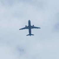wlwl532 (@wlwl532) 's Twitter Profile