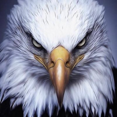 MTK_Mitko's profile picture. 