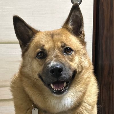 さーさんのプロフィール画像