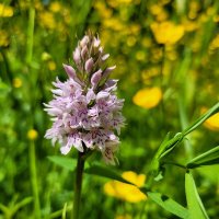 Just Hyde π (@lhyde2017) 's Twitter Profile