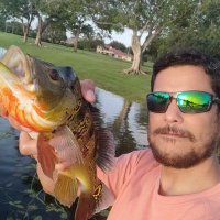 Markus Camargo (@markuscamargo) 's Twitter Profile