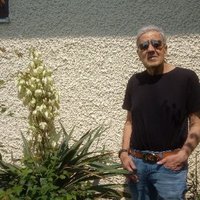 O. Regam (@o_regam) 's Twitter Profile