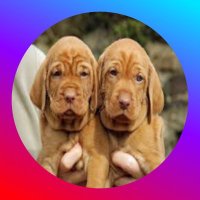 ⬣ Day Xero Hexican ⬣ (@richtweetsbaby) 's Twitter Profile Photo ⬣ Day Xero Hexican ⬣ (@richtweetsbaby) 's Twitter Profile Photo