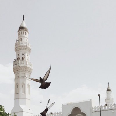إنَّمَا أَنَا وَدِيعَة الرَّحْمَن ويَوْمًا مَا سأُرد إلَيْه ..