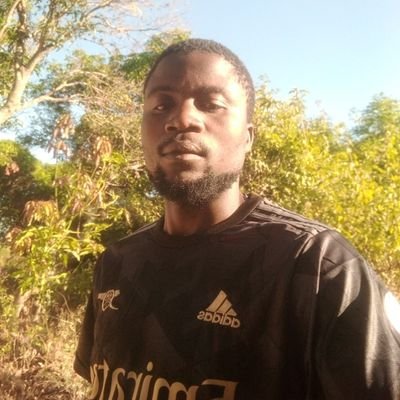 JosephTemb85348's profile picture. 