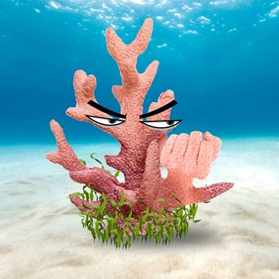 ReefWithABeef Profile Picture