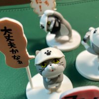 わかどりたなちゆ (@tanachutrinity0) Twitter profile photo