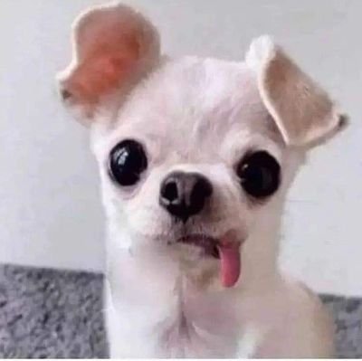 Chessman_'s profile picture. Fiel creyente de que El Amor sin Beso es como Macarron sin Queso