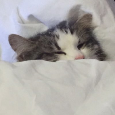 yes_101608's profile picture. 