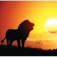 シンバルンバ＠ fx自動売買/ゴールドea/投資/副業/在宅ワーク/ドル円/ユーロポンド/バイナリー (@fubuki65379545) Twitter profile photo