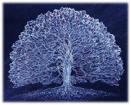 Onepath_IN's profile picture. OPINET: A Network of Earth based Oganizations, dedicating Resources, Support, Networking, Membership ~ In a Global Walking Prayer for Peace