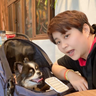 WPiball's profile picture. 
