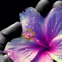 Gabriella Pace - @Artide73Pace - Twitter