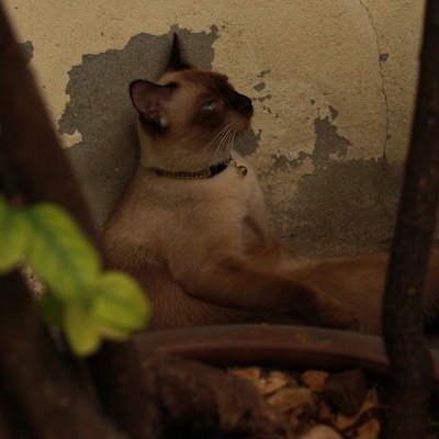 colourcode19795's profile picture.