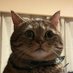 your brother (@yaboyfruity) Twitter profile photo your brother (@yaboyfruity) Twitter profile photo