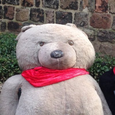 TeddyBull_'s profile picture. 📈