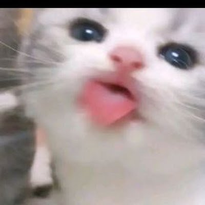 deoun23655's profile picture. 