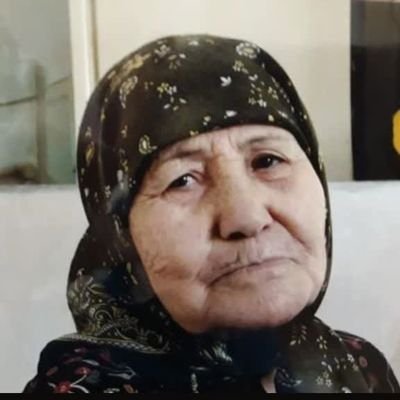 کارشناس حقوق ، فعال در عرصه اجتماع ، بسیار تیزبین