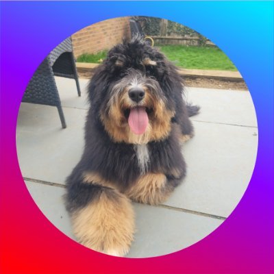 Pulsecollector's profile picture. 