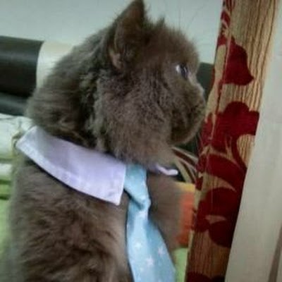 ahmad93535's profile picture. 