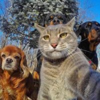 Alain Mattard (@ala59249) 's Twitter Profile Photo