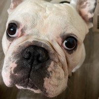 Moe (@mremoetional) 's Twitter Profile