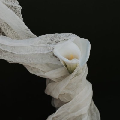 charistheos's profile picture. 