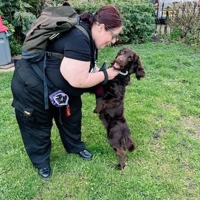 A daughter of Ex RAF Ground Crew and her mad Cocker Spaniel