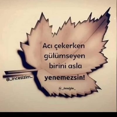 27Ercanyildirim's profile picture. Başarısız olmak için yaşamayın.basarili olmak için yaşayın.🇹🇷