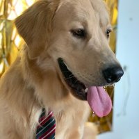 Blindfxx (@blindfxx123) 's Twitter Profile Photo Blindfxx (@blindfxx123) 's Twitter Profile Photo