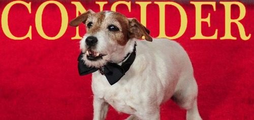 The Official Page of Uggie, #Hollywood icon and #star of #TheArtist, #W4E and now #Campaign. Out now #uggiemystory Out now #uggietheapp