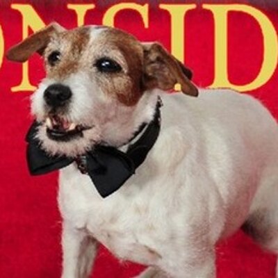 uggie uggie