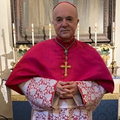 Arcivescovo cattolico. Già Nunzio Apostolico negli Stati Uniti d’America. Patrono di “Exsurge Domine” https://t.co/smA5c7Pskh
