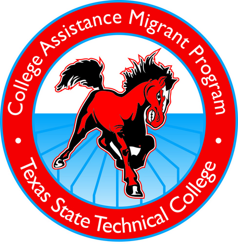 tstccamp's profile picture. 