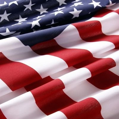 ProjectX870105's profile picture. If you're a patriot
You know what to do
X Æ A-12