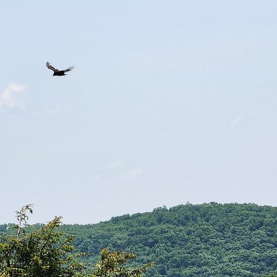 consultchris81's profile picture. 