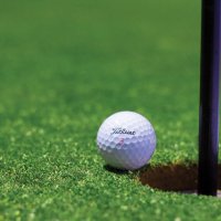 Save the PGA (@save_the_pga) Twitter profile photo