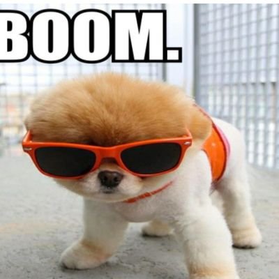 JamesMc12344's profile picture. hello follow for a follow back