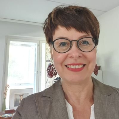 Johtava tutkija, FT, dosentti: aikuiskasvatus, kehittävä arviointi. Aktiivisemmin Blue Sky 'ssa