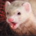 QuillNsfw (@nsfwquill1) Twitter profile photo QuillNsfw (@nsfwquill1) Twitter profile photo