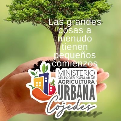 🌱🚜 Dirección Estadal del ministerio de agricultura urbana en el Estado Cojedes #promover la agricultura urbana en cada espacio de nuestro territorio. 🌿🌎👍🏽