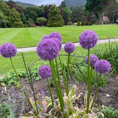 designbjts's profile picture. 