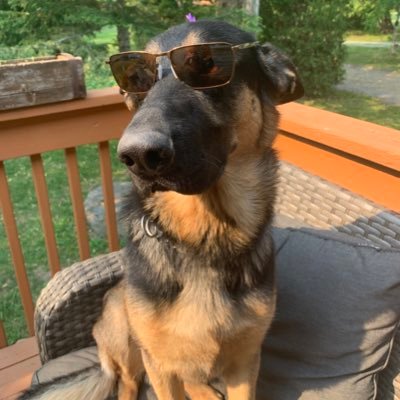 jodisnaturesway's profile picture. Seeker and speaker of the truth!