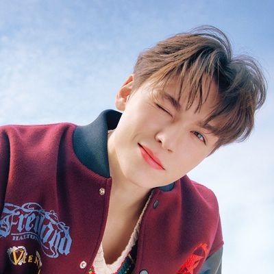 Vernon, S.Coups e Hobi collector! Surto por ficbook nas horas vagas.
+250 proofs ela/dela