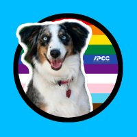 AliciaPetCareCenter (@apccvet) 's Twitter Profile